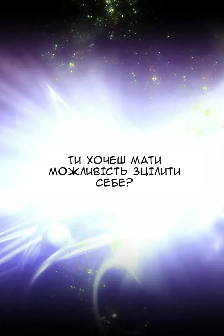Сторінка 111