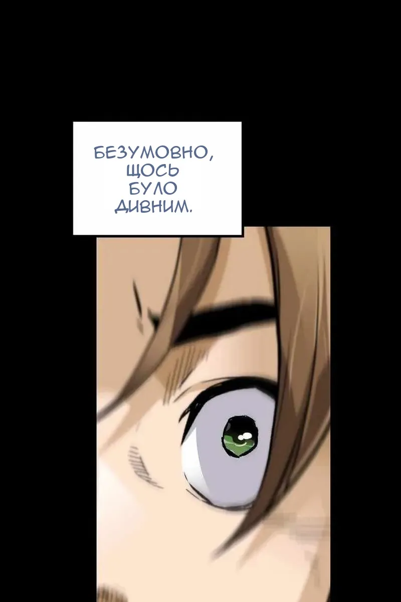 Сторінка 29