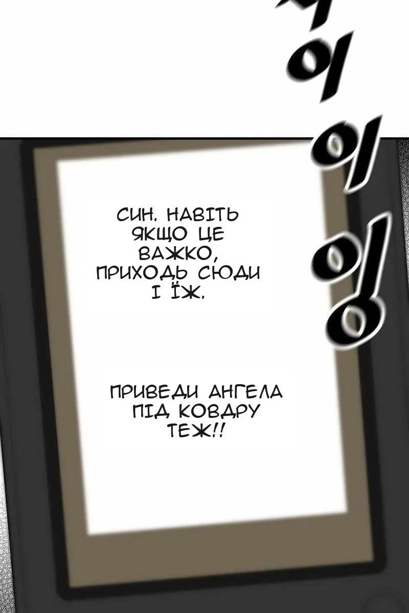 Сторінка 41