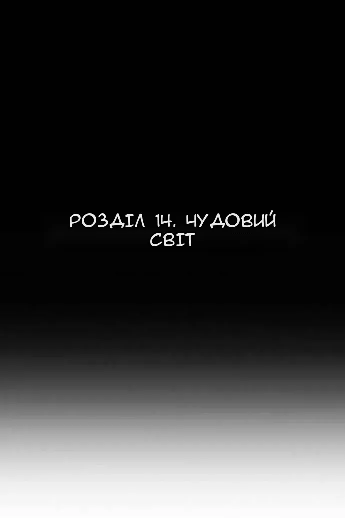 Сторінка 17