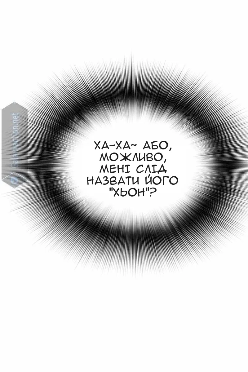 Сторінка 11