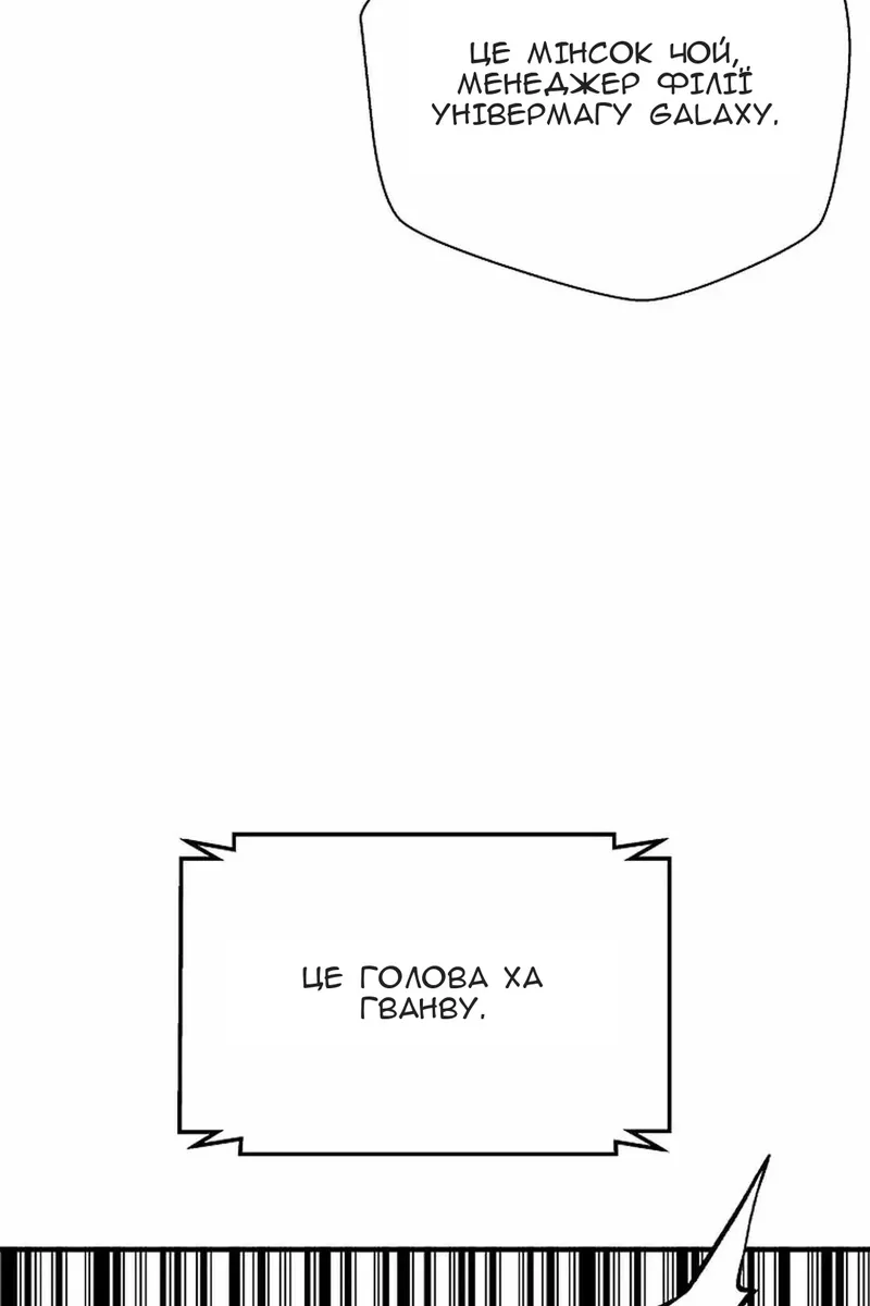 Сторінка 17