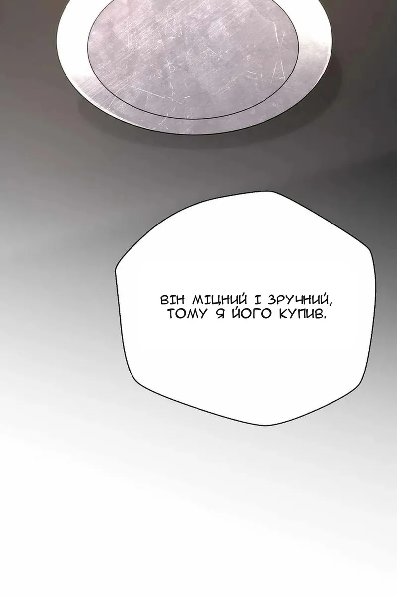 Сторінка 29