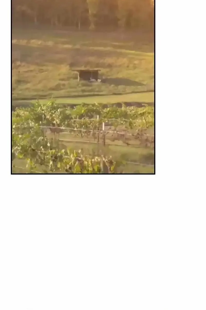 Сторінка 21