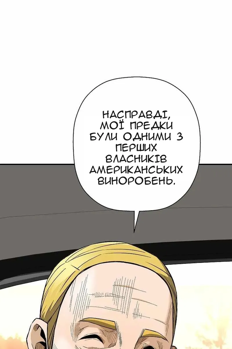 Сторінка 31