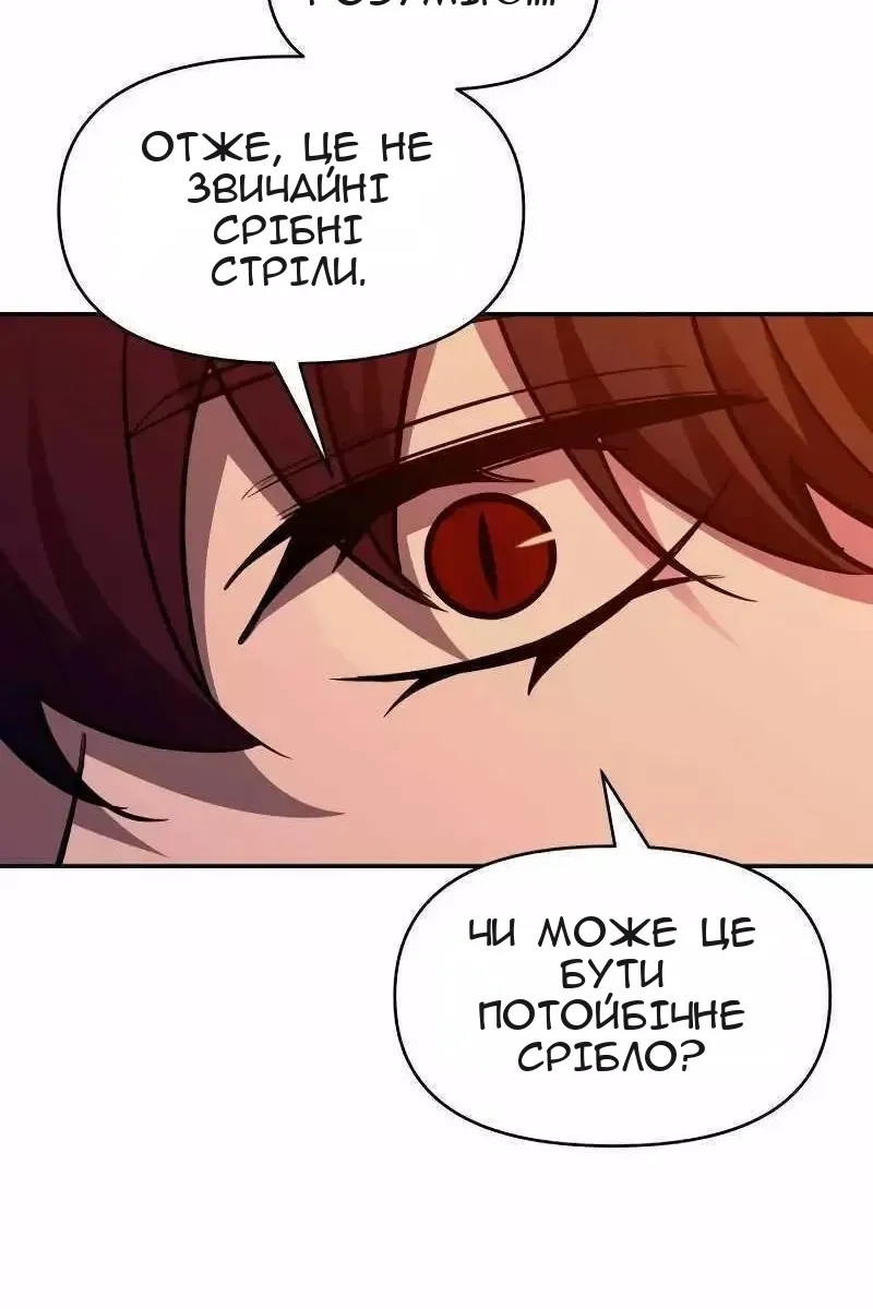 Сторінка 17