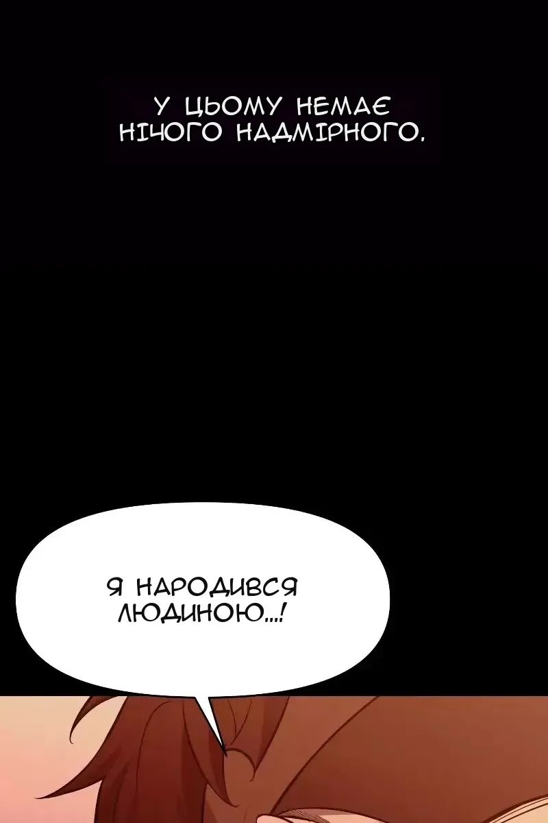 Сторінка 17