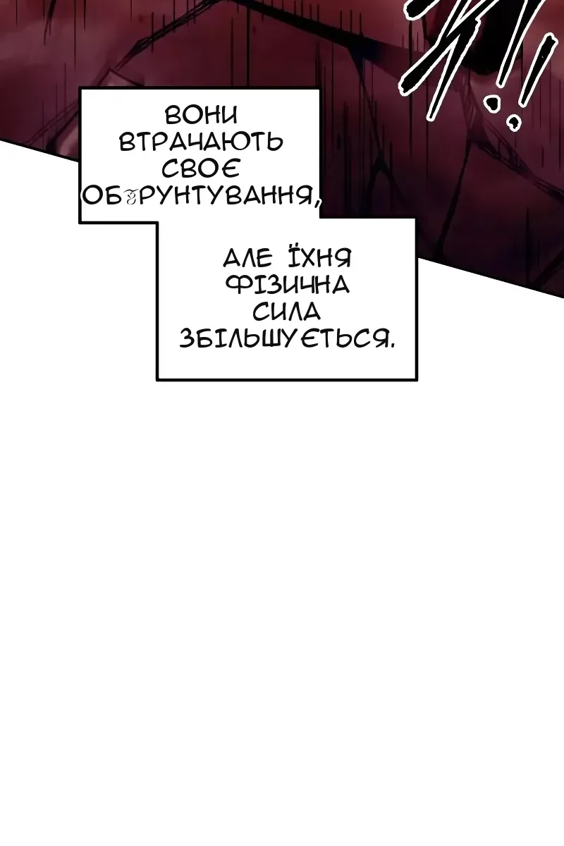 Сторінка 17