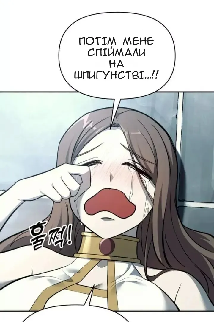 Сторінка 39