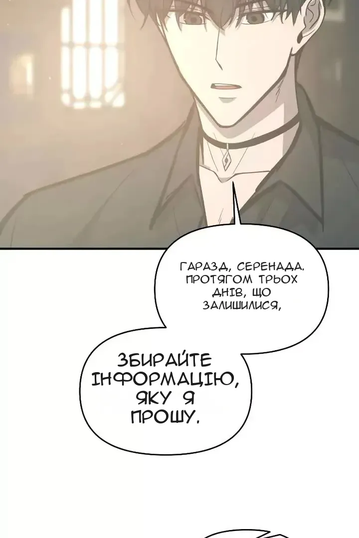 Сторінка 17