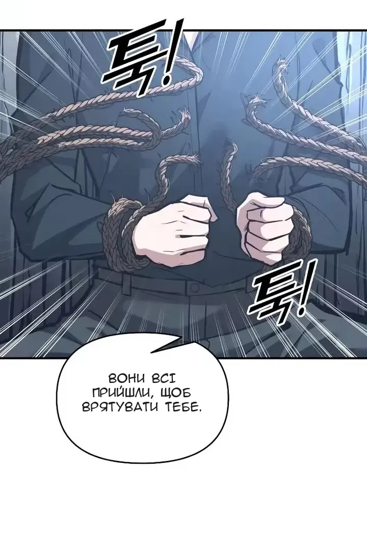 Сторінка 29