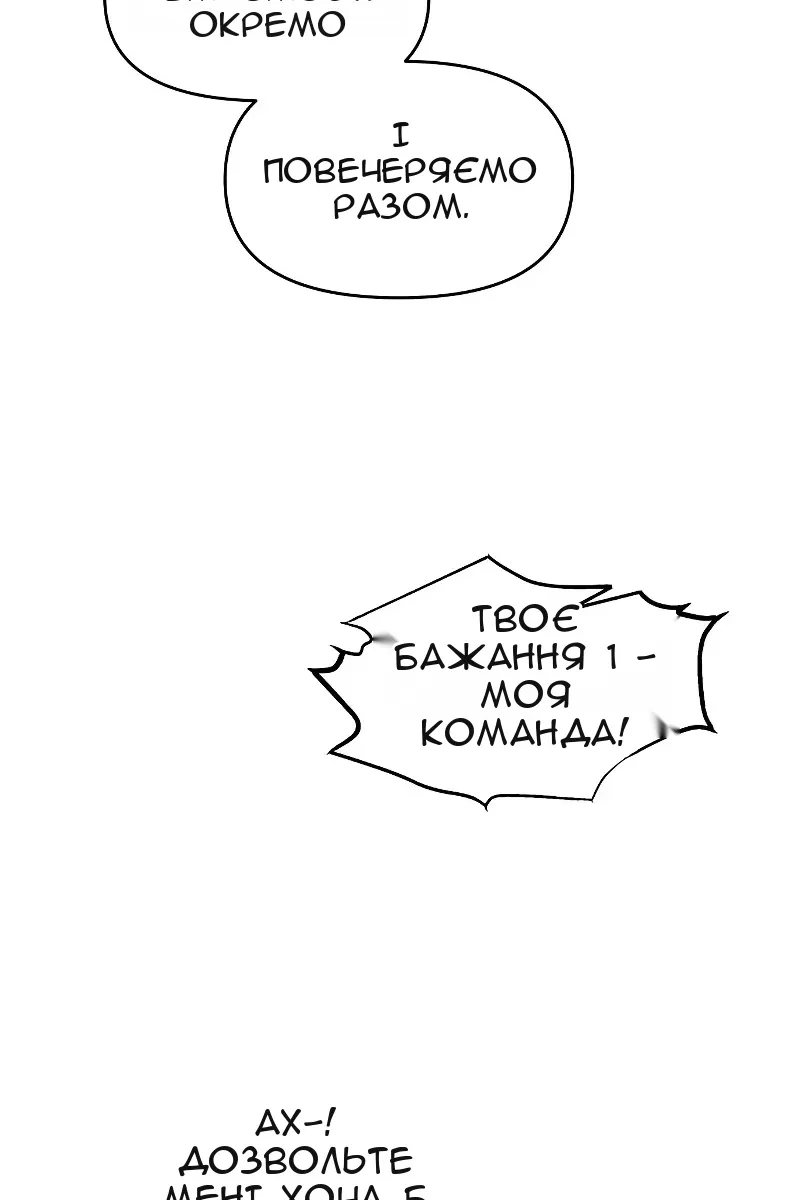 Сторінка 17