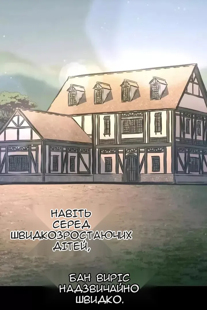 Сторінка 41