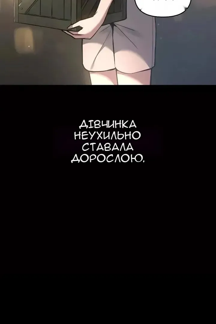 Сторінка 45