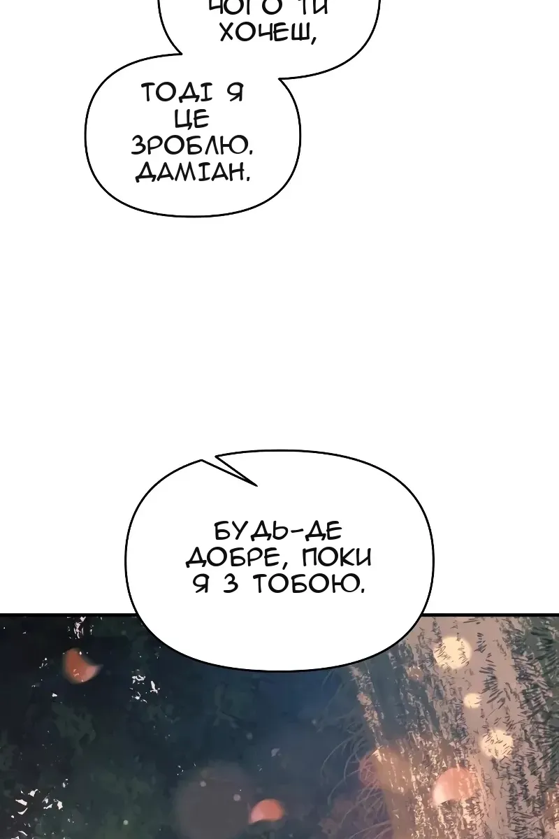 Сторінка 17