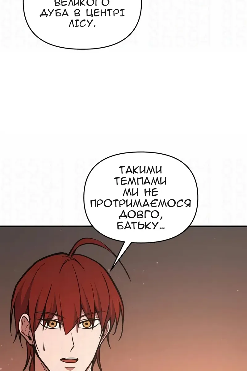 Сторінка 29