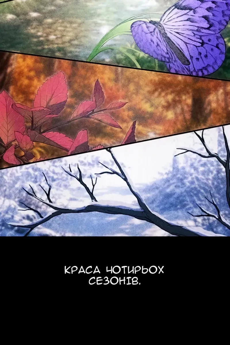 Сторінка 6