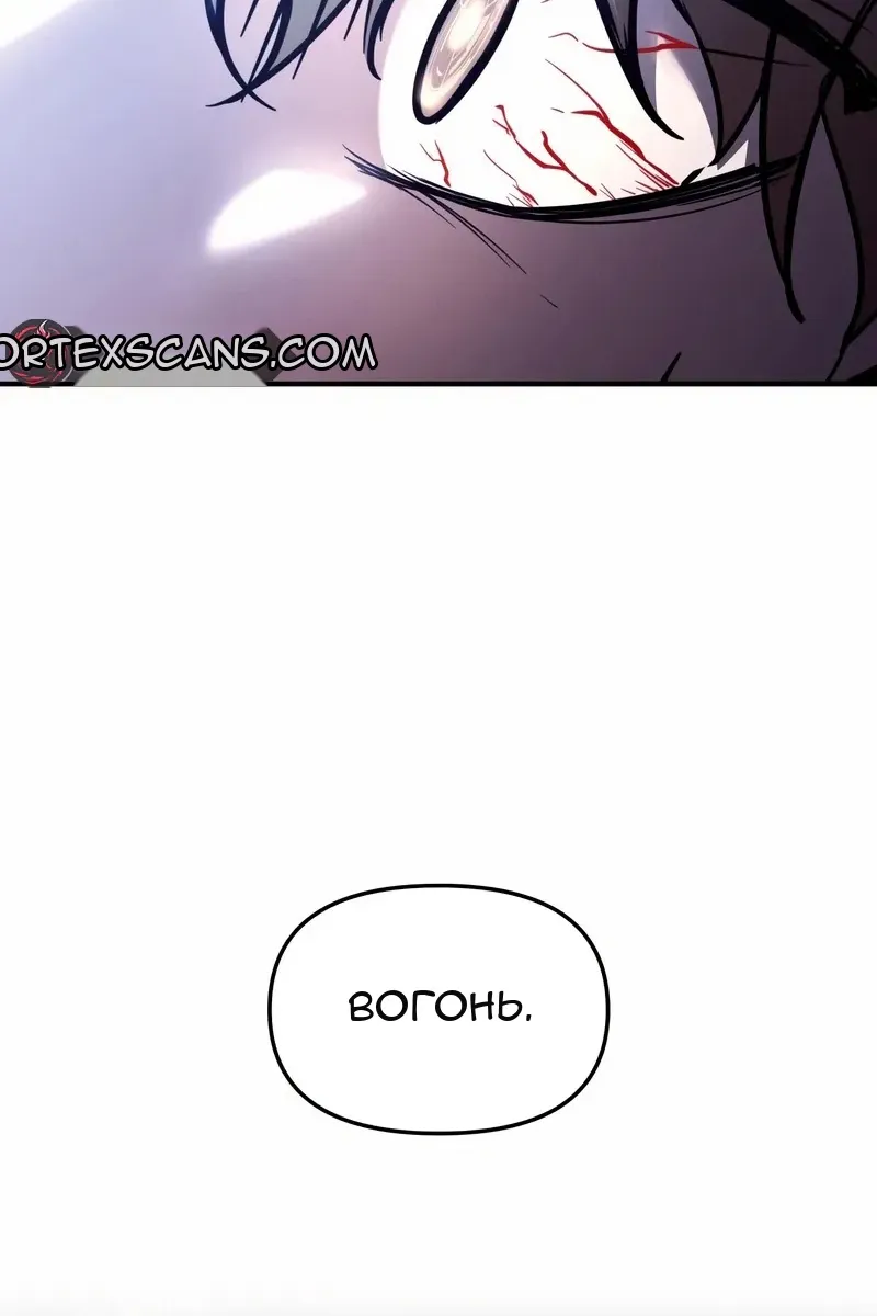 Сторінка 106