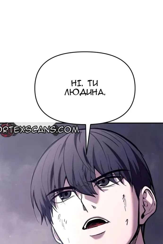 Сторінка 17