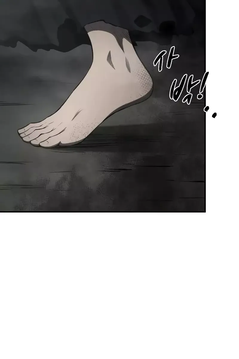 Сторінка 11