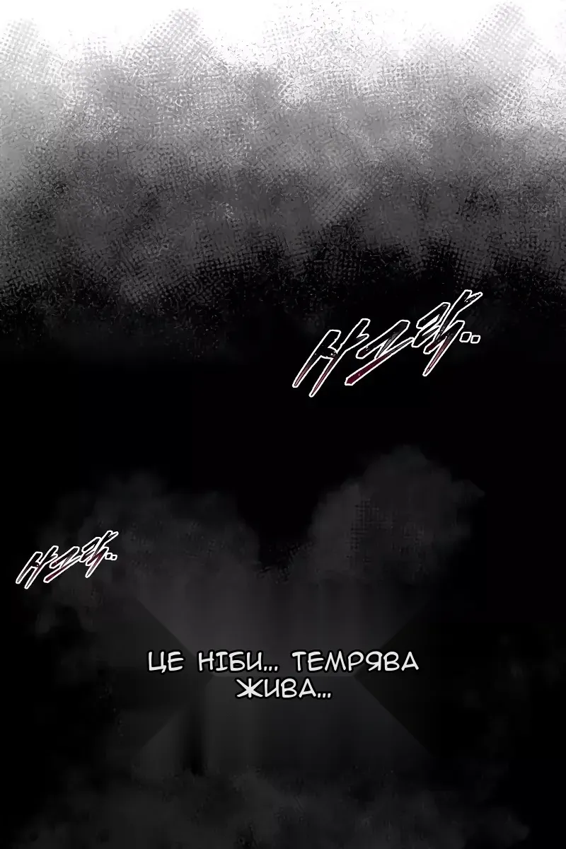 Сторінка 104