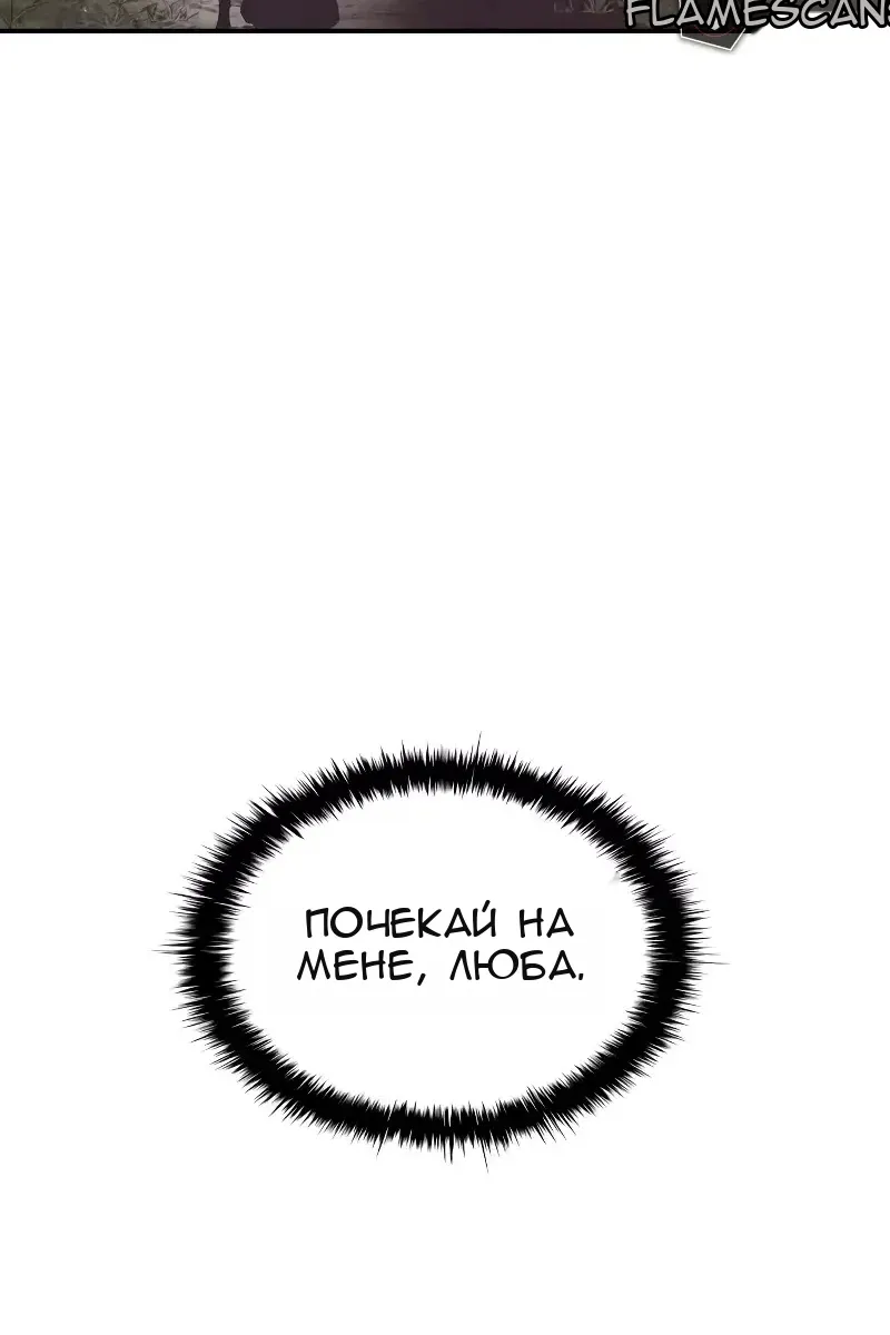 Сторінка 29