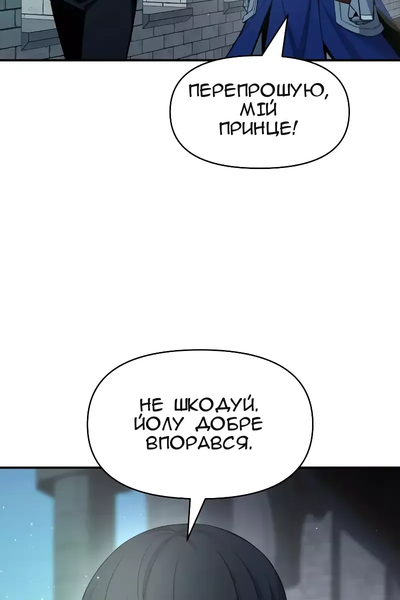 Сторінка 29