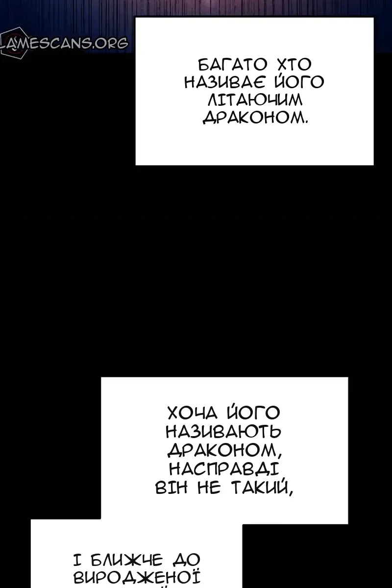 Сторінка 41