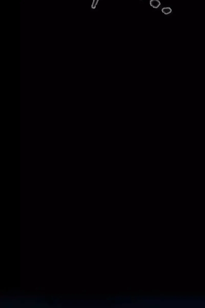 Сторінка 102