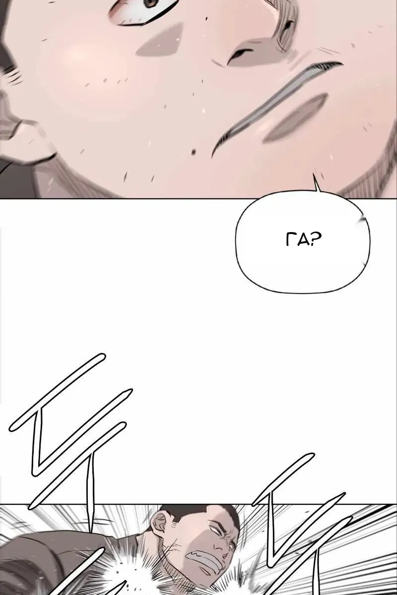 Сторінка 7