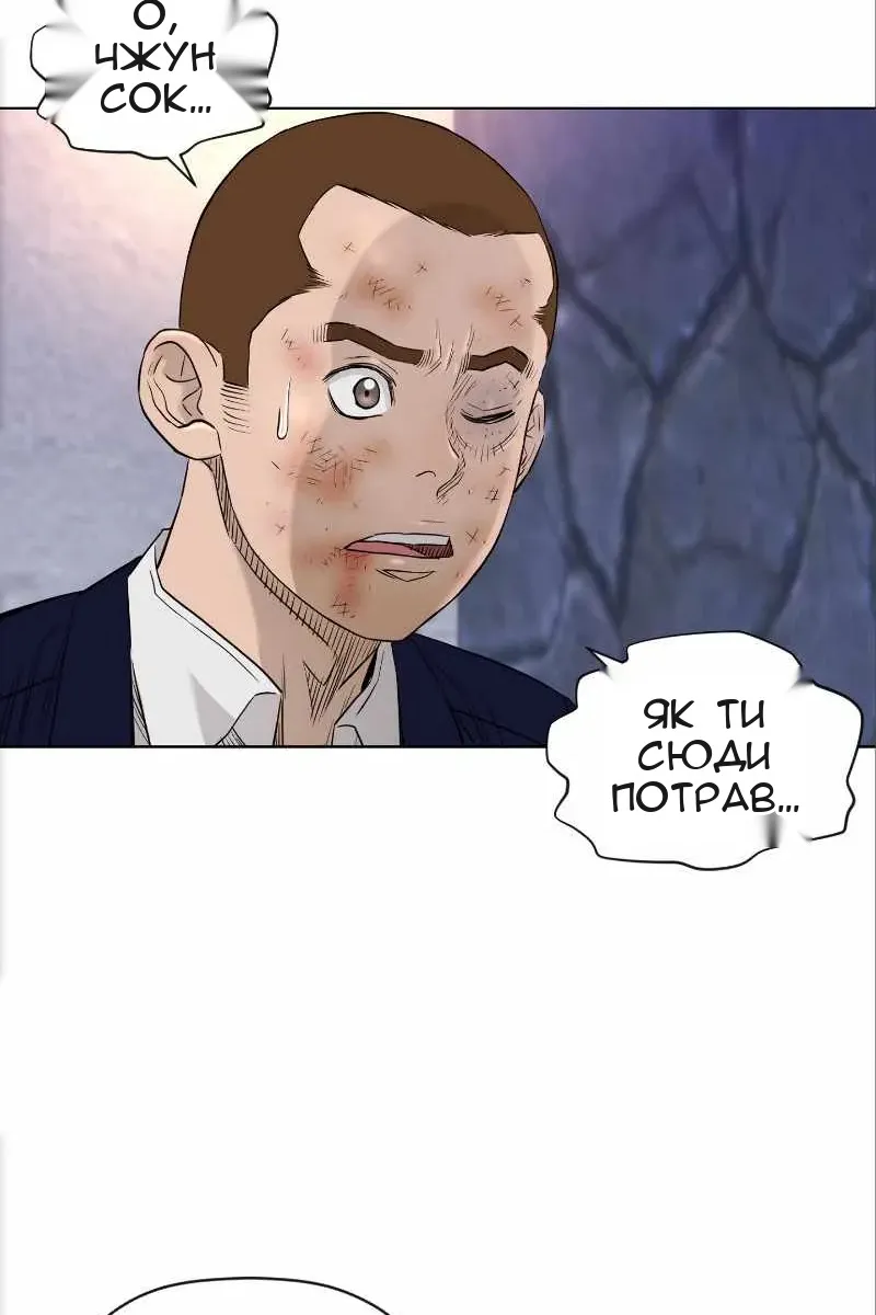 Сторінка 29