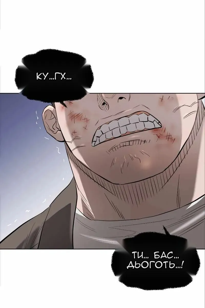 Сторінка 8