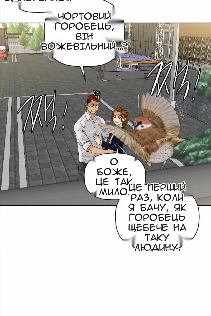 Сторінка 67