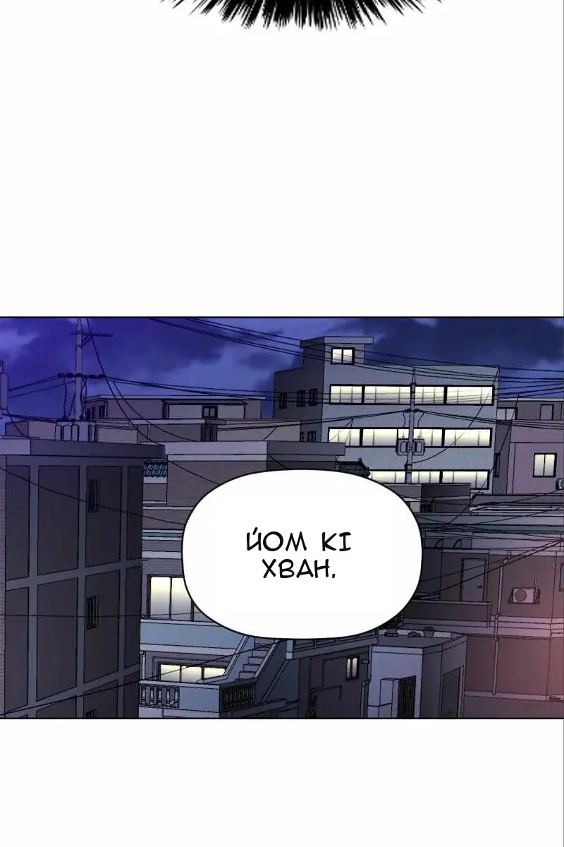 Сторінка 17