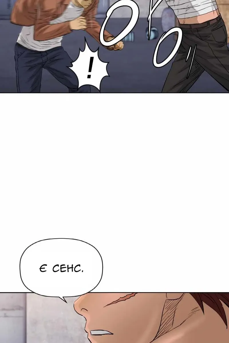 Сторінка 6