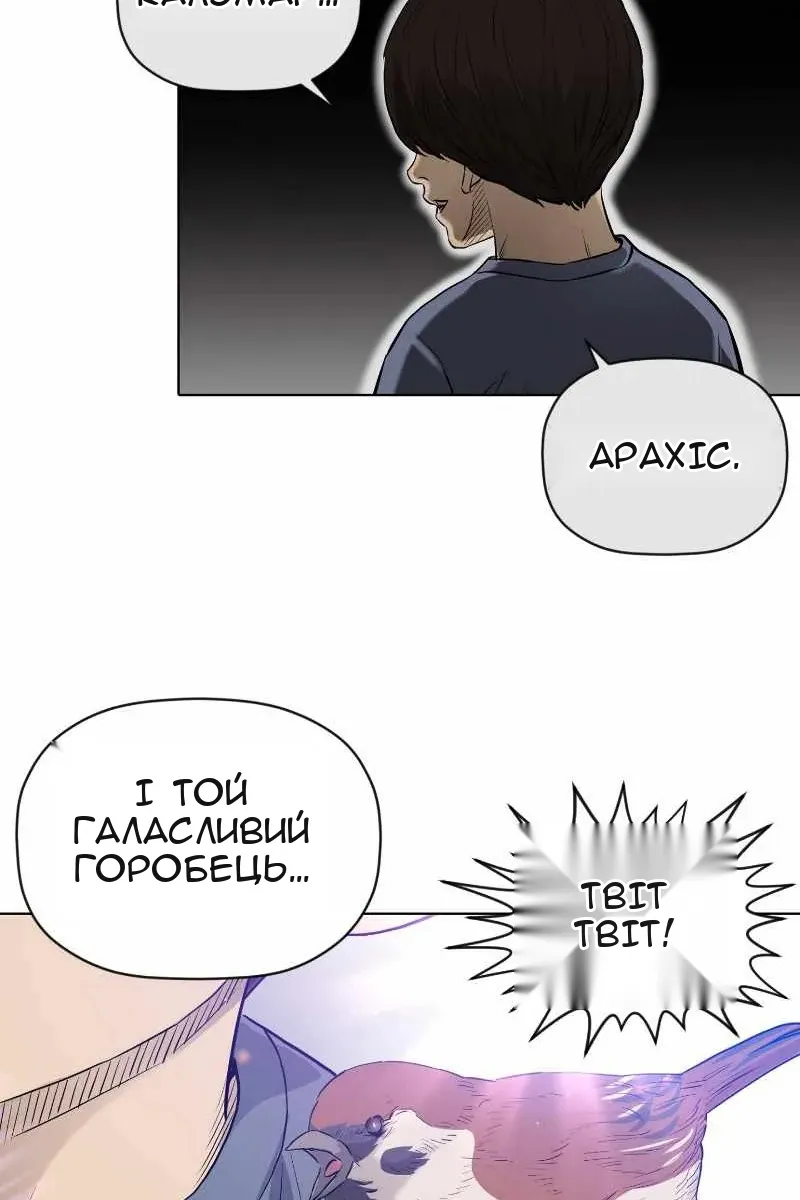 Сторінка 43