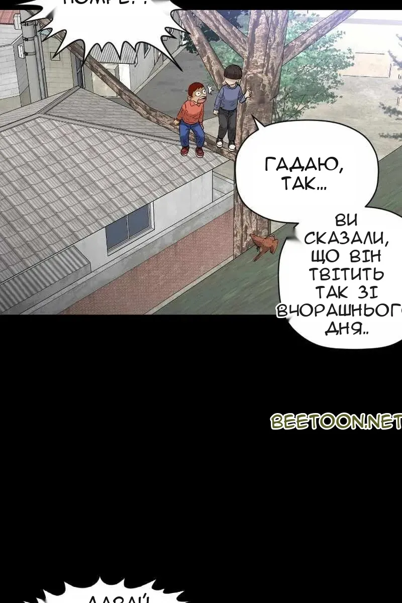 Сторінка 49