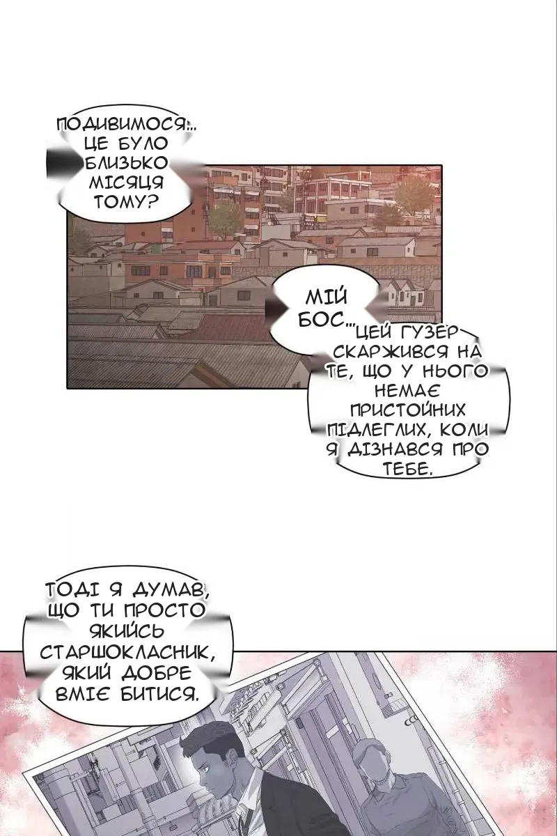 Сторінка 17