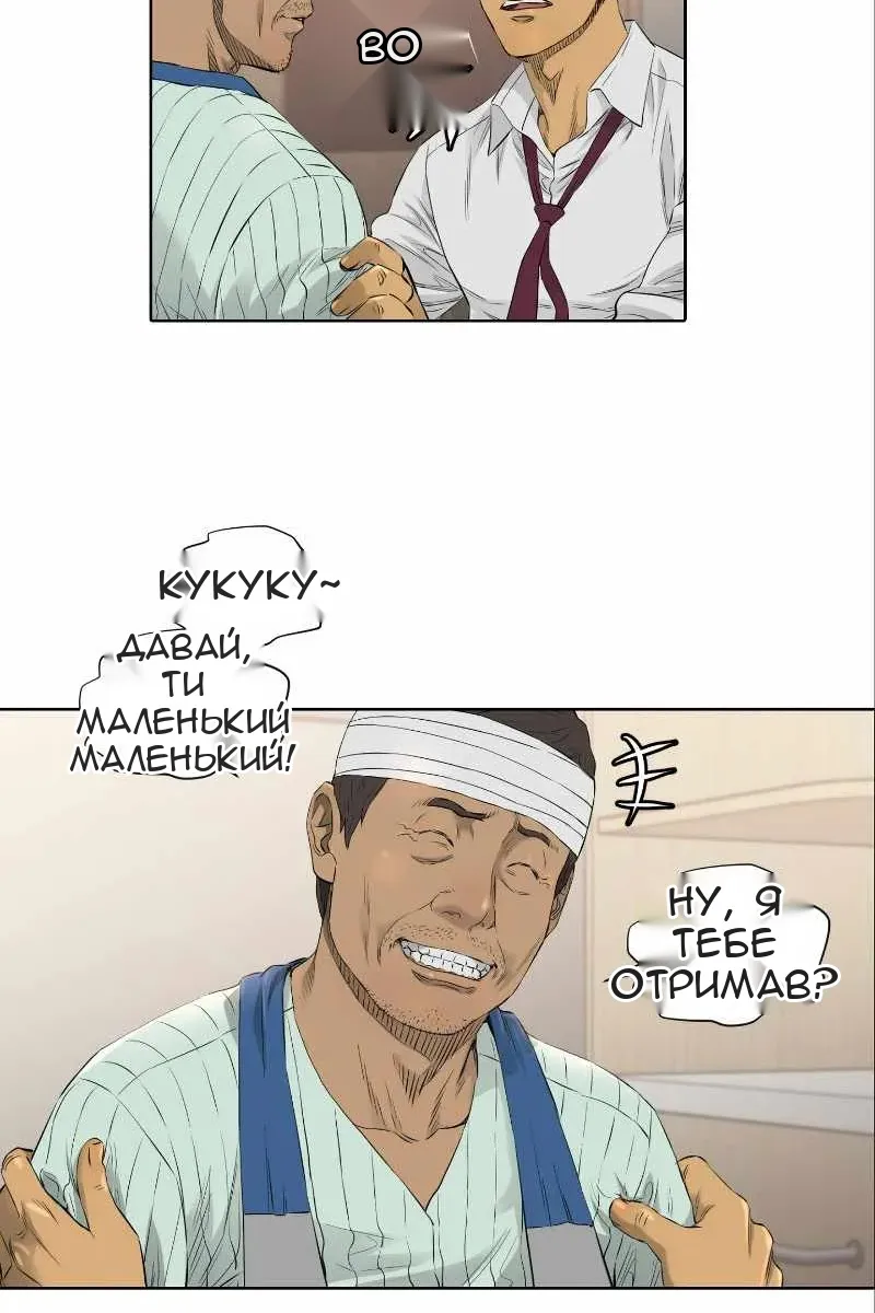 Сторінка 29