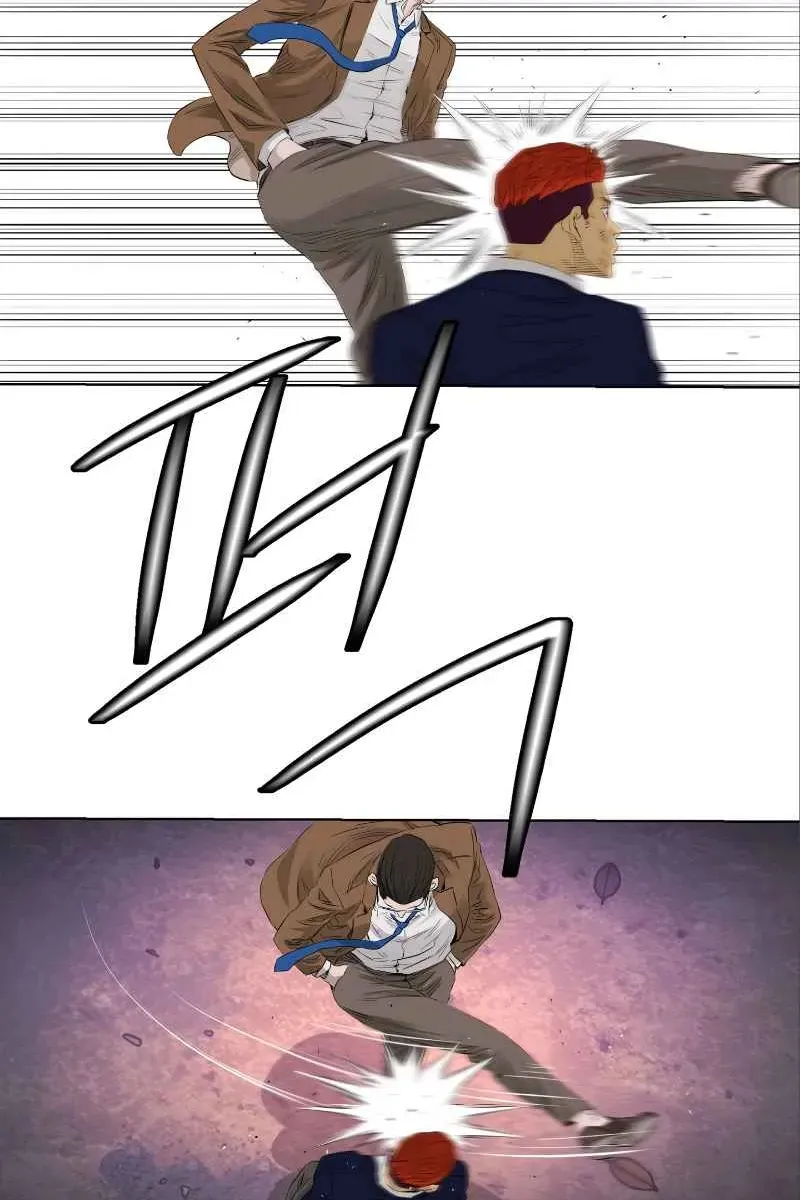 Сторінка 17