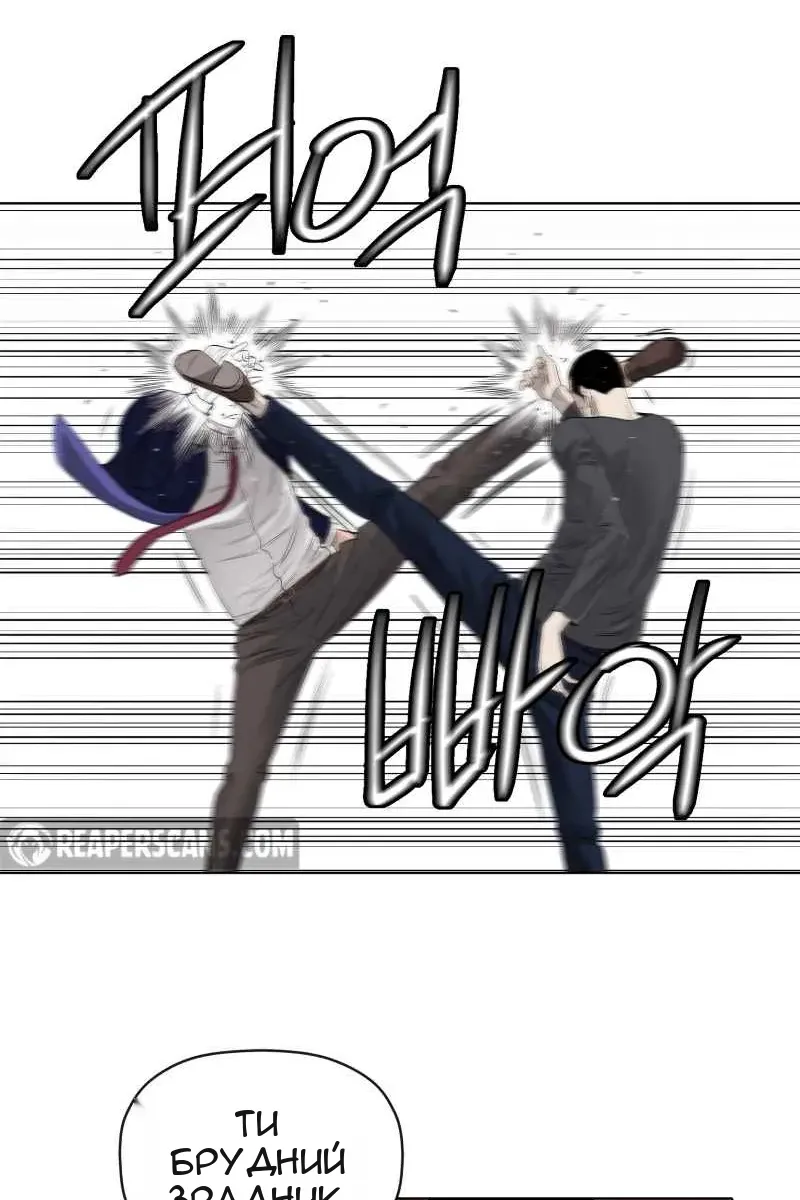 Сторінка 5