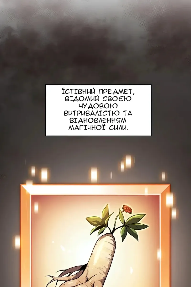 Сторінка 41