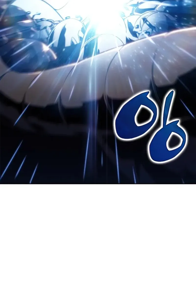 Сторінка 5