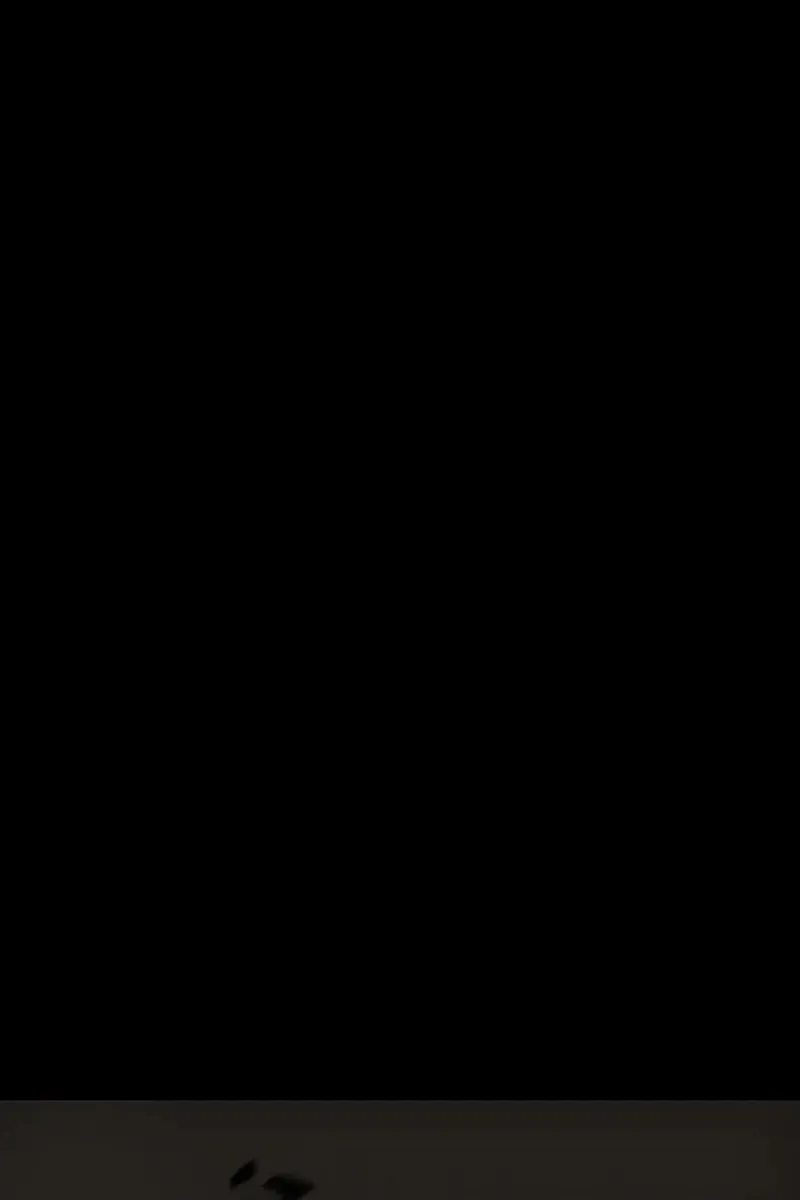 Сторінка 67