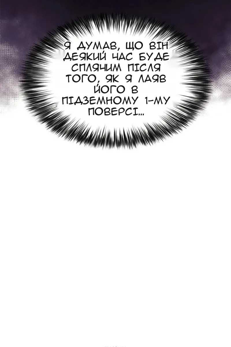 Сторінка 115