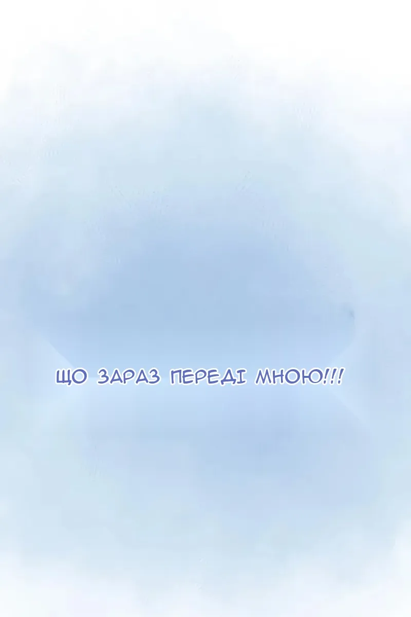 Сторінка 97
