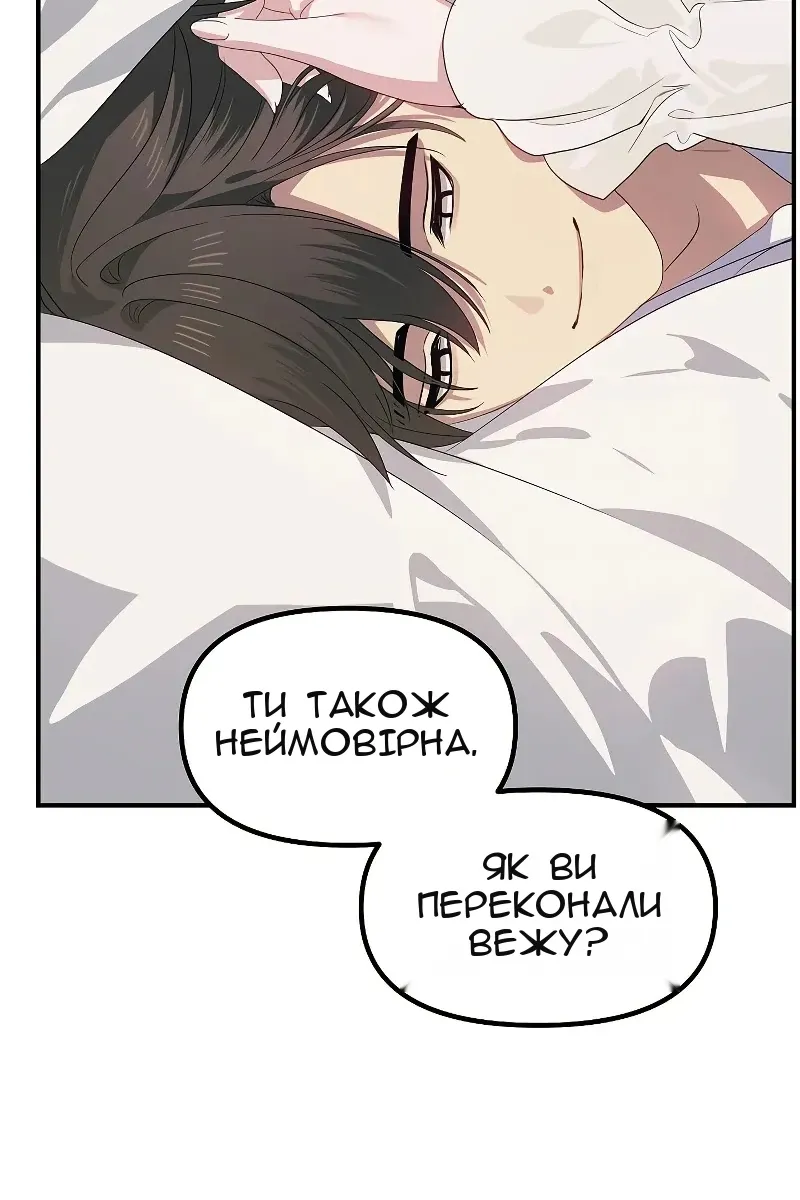Сторінка 17