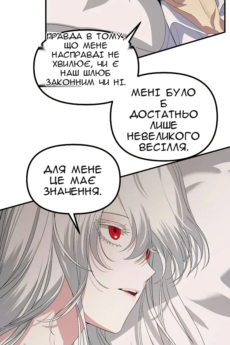Сторінка 29