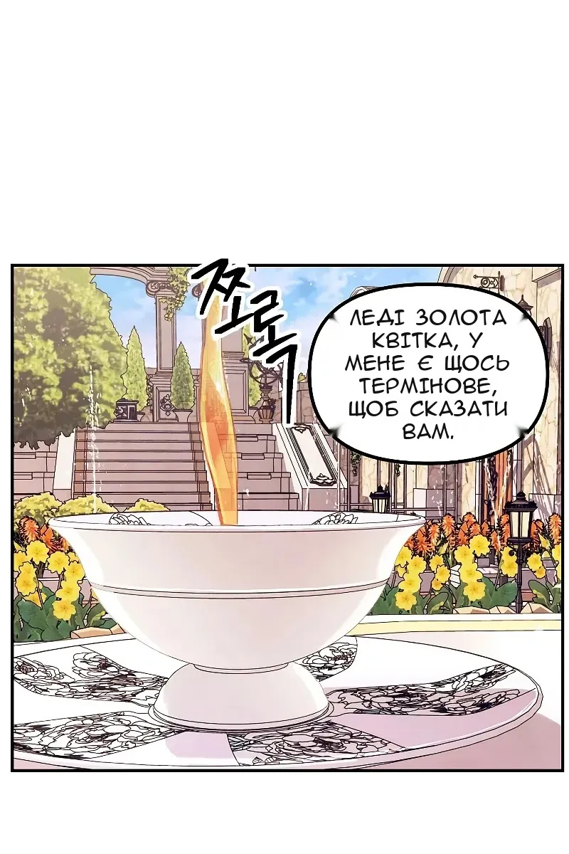 Сторінка 3