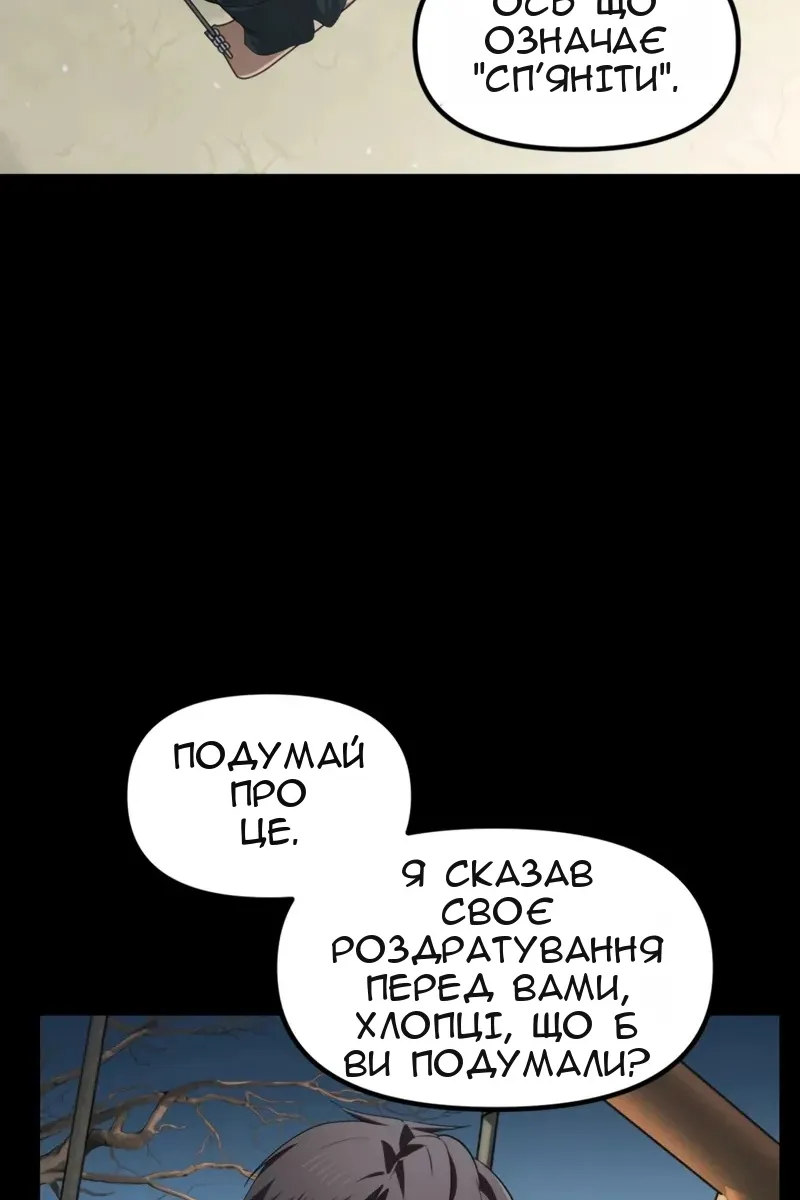 Сторінка 17
